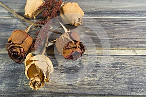 Bouquet of the dried flower with two red and three white roses