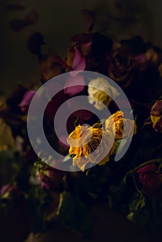 Bouquet of dried flowers in dark moody tones