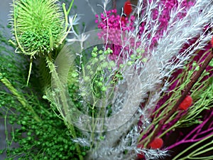 Bouquet of dried flowers and herbs. Colorful bouquet of dried flowers with your own hands. Autumn still life.