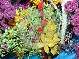 Bouquet of dried flowers and herbs. Colorful bouquet of dried flowers with your own hands. Autumn still life.