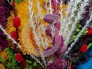 Bouquet of dried flowers and herbs. Colorful bouquet of dried flowers with your own hands. Autumn still life.