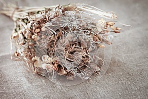 Bouquet of dried flowers on a light canvas, vintage background, rustic style, concept of romantic sadness and nostalgia