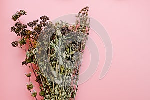 Bouquet of dried grass and flowers on a pink background. Collection of herbs for brewing teas and treatment with folk