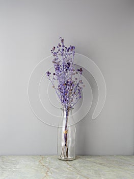 Bouquet of dried Gypsophila flowers for decoration