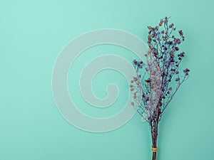 Bouquet of dried Gypsophila flowers for decoration