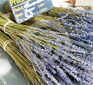 Bouquet of dried Lavandin