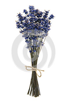 Bouquet of dried lavender