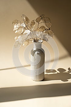 Bouquet of dried lunaria in ceramic vase on beige studio background