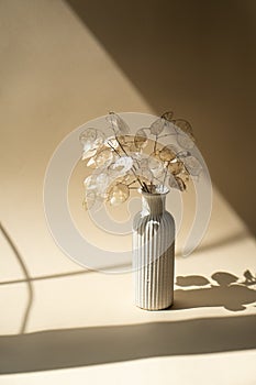Bouquet of dried lunaria in ceramic vase on beige studio background