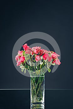 Bouquet of dried pink roses, dark background