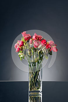 Bouquet of dried pink roses in a vase, dark background