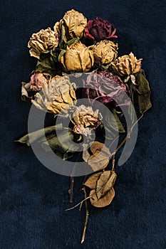 Bouquet of dried rose. Withered roses