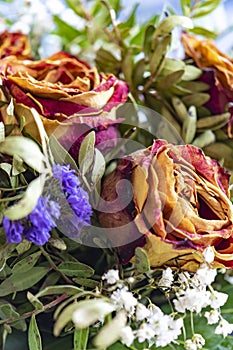 A bouquet of dried roses and various complementary plants. Focussed is the rose on the right side