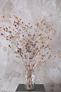 Bouquet of dried wild flowers on the background of a concrete grey background