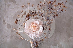 Bouquet of dried wild flowers on the background of a concrete wall