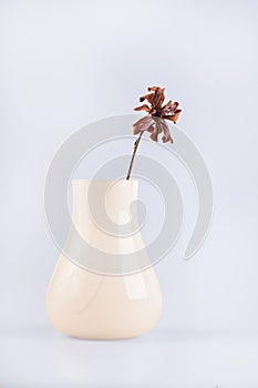 Bouquet of dry flowers in a vase