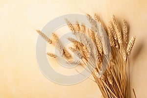 Bouquet of dry wheat and grasses in a vase with warm light and shadows