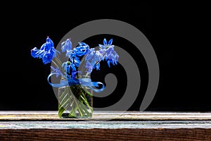 A bouquet of early spring blue flowers bluebell.in a glass jar with a blue bow on the table on a black background closeup