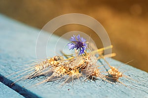 A bouquet of ears of wheat and cornflower lying on old table