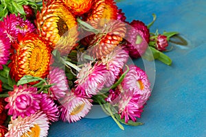 Bouquet of Everlasting flowers