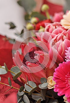 Bouquet of exotic flowers and plants, close-up