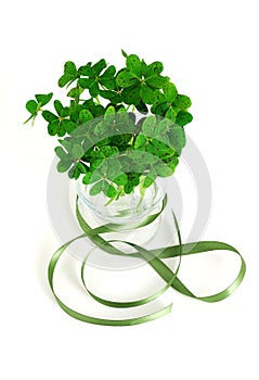 Bouquet of false shamrock with green ribbon