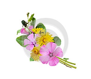 Bouquet of field bindweed flowers and yellow dandelions isolated