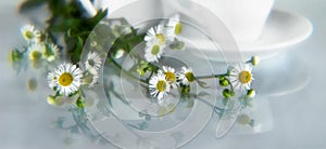 A bouquet of field daisies and a cup of aromatic coffee.