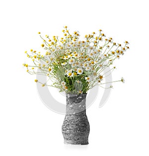Bouquet of field daisies in a gray handmade clay vase on a white background