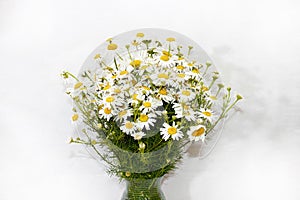 Bouquet of field daisies in a vase on a white background.