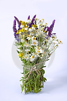 Bouquet of field summer flowers. Daisies, lilac sage on a white background