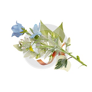 Bouquet of the field wild flowers, easter colors, isolated