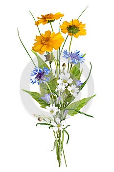 Bouquet of the field wild flowers, easter colors, isolated photo