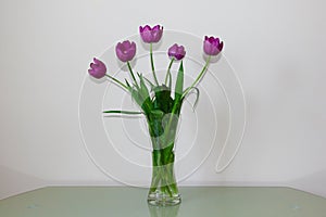 Bouquet of five lilac tulips in a glass vase on the table. Spring and holiday concept, greeting card or flower shop web banner.