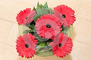Bouquet of five red gerberas. Valentines day concept. Design for greeting card or flower shop banner design.