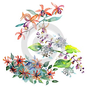 Bouquet floral botanical flowers. Watercolor background illustration set. Isolated bouquets illustration element.