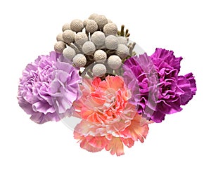 Bouquet flower carnation and brunia laevis isolated on white background