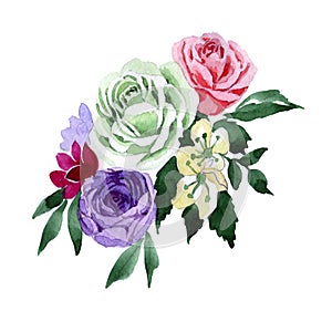 Bouquet flower in a watercolor style isolated.