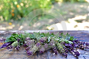 A bouquet of flowering sprigs of basil with parsley on the edge a wooden table top. The upper one is filled.