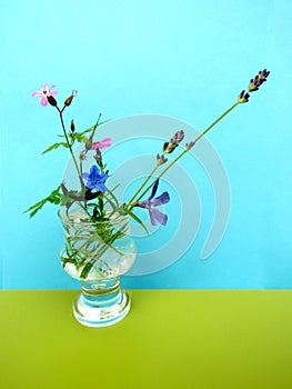 Bouquet of flowering weeds harvested in early June. Creeping phlox, Periwinkle, Lavender, Herb Robert and Lithodora diff