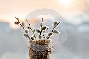 Bouquet of flowering willow branches on a background of sky during sunset