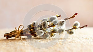 Bouquet of flowering willow twigs on burlap