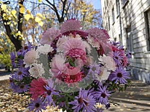 Bouquet of flowers against the backdrop of the cityscape. Wildflowers. Autumn bouquet. The beauty of flowers among the autumn city