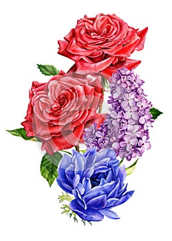 Bouquet of flowers, anemones, rose, lilac, watercolor botanical illustration