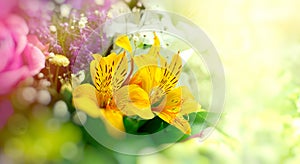 Bouquet of flowers, beautiful flower - floral arrangement