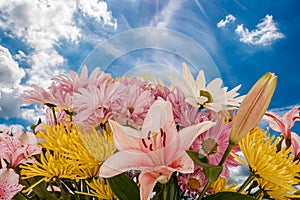 Bouquet of flowers with beautiful sky background and copy space