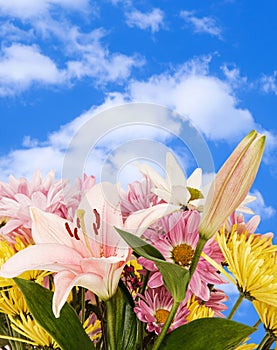 Bouquet of flowers with beautiful sky background and copy space