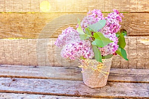 Bouquet of flowers beautiful smell violet purple lilac on rustic wooden background