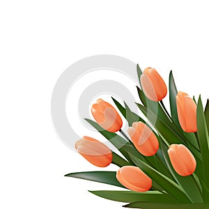 Bouquet of flowers. Bunch of rose tulips with leaves. Realistic vector greeting card poster. Graphic illustration. Special gift