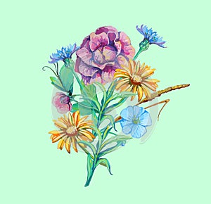 Bouquet of flowers camomile, cichorium, forget-me-